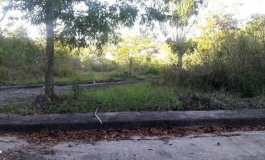 213 Sqm Corner Lot for Sale in Consolacion Cebu