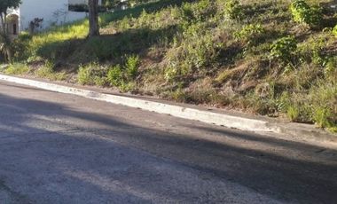 303 Sqm Lot for Sale in Greenwoods Subdivision near Talamban Cebu City
