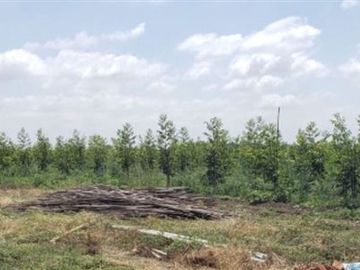 Agrícola en Venta en Las Mercedes