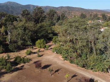 Parcela en Venta en Ruta F 50, 200 mtrs Ruta Quilpue - Lo Orosco