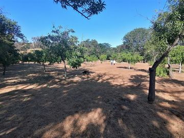 Parcela en Venta en Ruta F 50, 200 mtrs Ruta Quilpue - Lo Orosco