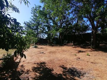 Parcela en Venta en Ruta F 50, 200 mtrs Ruta Quilpue - Lo Orosco