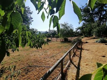 Parcela en Venta en Ruta F 50, 200 mtrs Ruta Quilpue - Lo Orosco