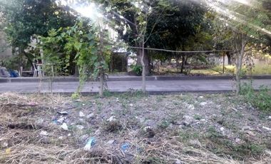 230 Sqm Lot for Sale in Basak, Lapu-lapu City Cebu near Gaisano Grand Mall