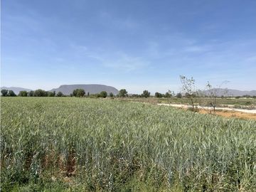 Terreno en El Bondho Mixquiahuala Hidalgo, 3.8 hectáreas $120 m2