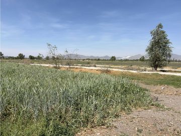 Terreno en El Bondho Mixquiahuala Hidalgo, 3.8 hectáreas $120 m2
