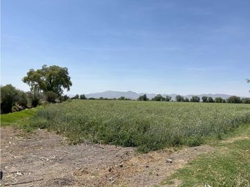 Terreno en El Bondho Mixquiahuala Hidalgo, 3.8 hectáreas $120 m2