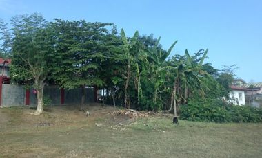 800 sqm Property in near Malls in San Fernando, La Union