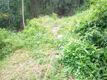 20 Tumbak Tanah Sumber Air, Tugumukti, Cisarua, Bandung Barat
