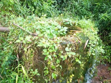 20 Tumbak Tanah Sumber Air, Tugumukti, Cisarua, Bandung Barat