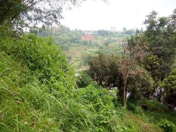 20 Tumbak Tanah Sumber Air, Tugumukti, Cisarua, Bandung Barat