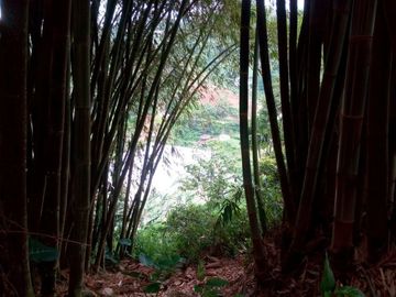 20 Tumbak Tanah Sumber Air, Tugumukti, Cisarua, Bandung Barat