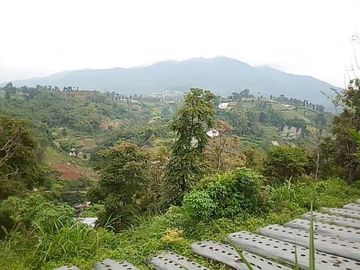 20 Tumbak Tanah Sumber Air, Tugumukti, Cisarua, Bandung Barat