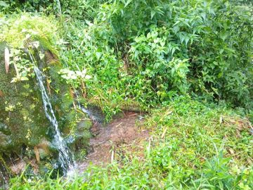 20 Tumbak Tanah Sumber Air, Tugumukti, Cisarua, Bandung Barat