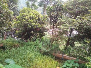 20 Tumbak Tanah Sumber Air, Tugumukti, Cisarua, Bandung Barat