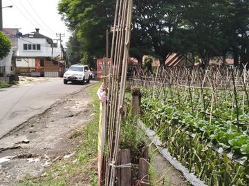 Tanah Kebun Strategis Lembang Bandung | IWANS