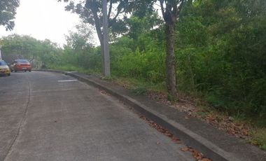 124 SQM Subdivision Lot for Sale in Upper Casili Consolacion Cebu