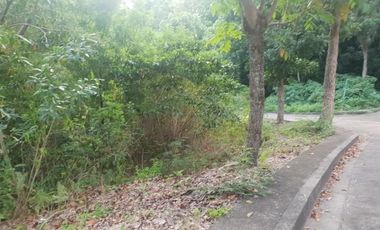 124 SQM Subdivision Lot for Sale in Upper Casili Consolacion Cebu