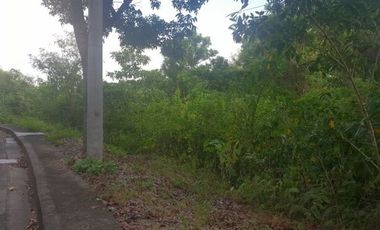 124 SQM Subdivision Lot for Sale in Upper Casili Consolacion Cebu
