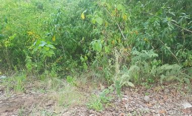 124 SQM Subdivision Lot for Sale in Upper Casili Consolacion Cebu
