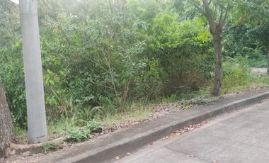 124 SQM Subdivision Lot for Sale in Upper Casili Consolacion Cebu