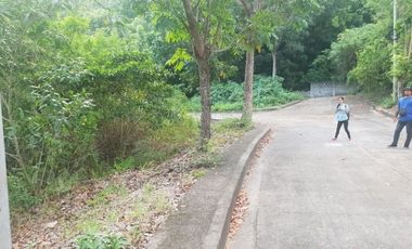 124 SQM Subdivision Lot for Sale in Upper Casili Consolacion Cebu