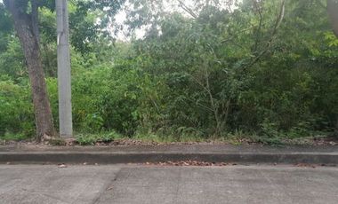 124 SQM Subdivision Lot for Sale in Upper Casili Consolacion Cebu