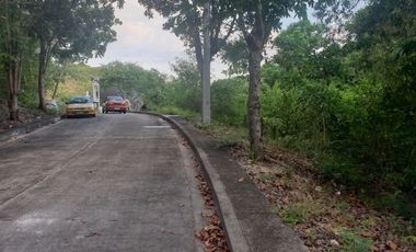 124 SQM Subdivision Lot for Sale in Upper Casili Consolacion Cebu