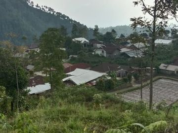 Tanah kemuning ngargoyoso 400m 190jt