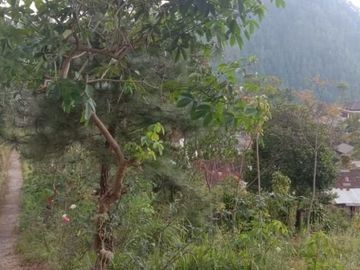 Tanah kemuning ngargoyoso 400m 190jt