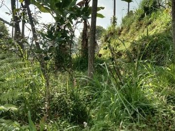 Tanah kemuning ngargoyoso 400m 190jt