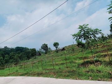 Dijual Tanah Cepokolimo Kec. Pacet Kabupaten Mojokerto Jawa Timur