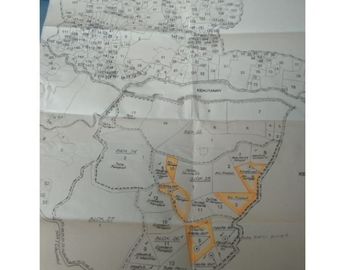 Jual Cepat Tanah Perkebunan 130 Ha Di Cipanas Kota Cianjur