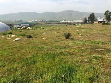 TERRENO EN  VENTA  EN CARRETERA LIBRE TIJUANA -TECATE