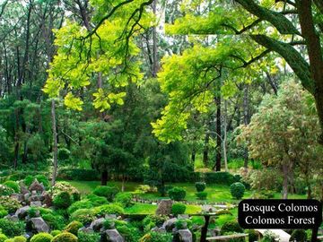 Departamento con alberca, gimnasio, coworking, salon de eventos, pet friendly, p