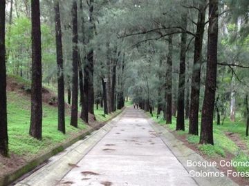 Departamento con alberca, gimnasio, coworking, salon de eventos, pet friendly, p