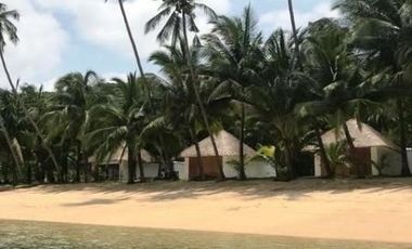 Beach Lot in New Busuanga, Palawan