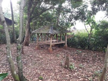 Tanah Wisata Cijambe Cinunuk Bandung Timur