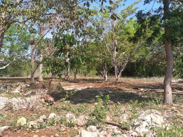 VENTA DE RANCHO PARA GANADERIA O FRACCIONAR EN CARRETERA A TIXKOKOB, YUCATÁN