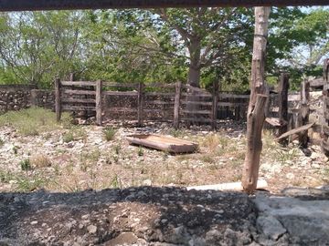 VENTA DE RANCHO PARA GANADERIA O FRACCIONAR EN CARRETERA A TIXKOKOB, YUCATÁN