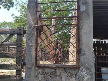 VENTA DE RANCHO PARA GANADERIA O FRACCIONAR EN CARRETERA A TIXKOKOB, YUCATÁN