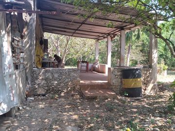 VENTA DE RANCHO PARA GANADERIA O FRACCIONAR EN CARRETERA A TIXKOKOB, YUCATÁN