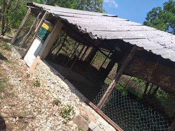 VENTA DE RANCHO PARA GANADERIA O FRACCIONAR EN CARRETERA A TIXKOKOB, YUCATÁN