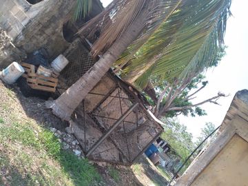 VENTA DE RANCHO PARA GANADERIA O FRACCIONAR EN CARRETERA A TIXKOKOB, YUCATÁN