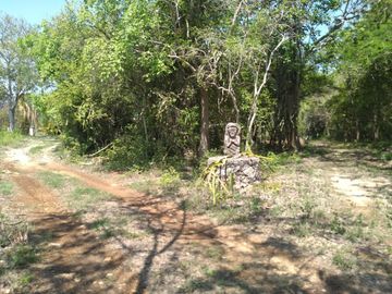 VENTA DE RANCHO PARA GANADERIA O FRACCIONAR EN CARRETERA A TIXKOKOB, YUCATÁN