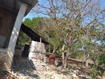 VENTA DE RANCHO PARA GANADERIA O FRACCIONAR EN CARRETERA A TIXKOKOB, YUCATÁN