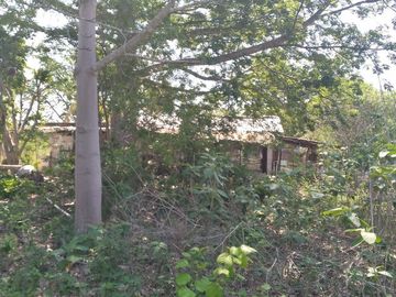 VENTA DE RANCHO PARA GANADERIA O FRACCIONAR EN CARRETERA A TIXKOKOB, YUCATÁN