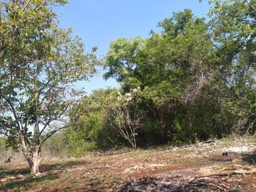 VENTA DE RANCHO PARA GANADERIA O FRACCIONAR EN CARRETERA A TIXKOKOB, YUCATÁN