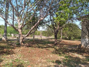 VENTA DE RANCHO PARA GANADERIA O FRACCIONAR EN CARRETERA A TIXKOKOB, YUCATÁN