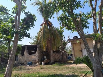 VENTA DE RANCHO PARA GANADERIA O FRACCIONAR EN CARRETERA A TIXKOKOB, YUCATÁN